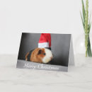 Search for guinea pig christmas cards Pet