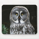 Search for great white mouse mats Grey