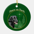 Search for flat coated retriever christmas tree decorations Dog