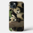 Search for giant ipad cases Fauna