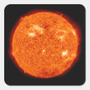 Search for activity stickers Whole