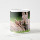 Search for cottontail mugs Nature