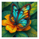 Search for colorful butterflies posters Butterfly