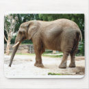 Search for elephant kid mouse mats Africa