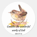 Search for wren stickers Watercolor