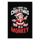 Search for monkey lover art Funny