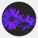 Search for gerbera photography Botanical
