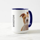 Search for pitbulls home living Pets