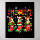 Search for coupon book Xmas