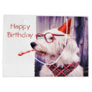 Search for happy birthday dog gift bags Celebration