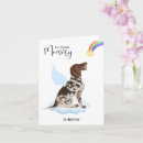 Search for pointer pet supplies Rainbow bridge