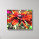 Search for black and orange canvas prints Floral