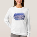 Search for kluane Scenic