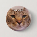 Search for veterinarians badges Kitty