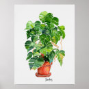 Search for pot plants posters Watercolor
