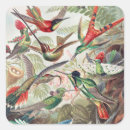 Search for animal science stickers Ernst haeckel