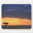 Search for vultures mouse mats Sky