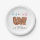 Search for gender reveal plates Boy or girl