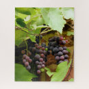 Search for fruit puzzles Plants