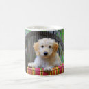 Search for golden doodle dog mugs Poodle