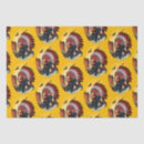 Search for native american tissue paper Feathers