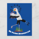 Search for secretary postcards Bird of prey