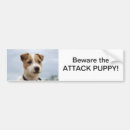 Search for jack russell terrier bumper stickers Puppy