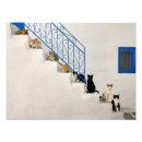Search for staircases posters Cat