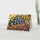 Search for pheasant cards Feathers