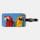 Search for macaws Nature