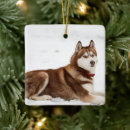 Search for alaskan malamute gifts Dog