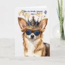Search for funny chihuahua birthday cards Dogs