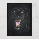 Search for black panther postcards Wild