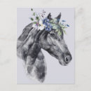 Search for equine postcards Beautiful