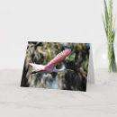 Search for spoonbill cards Animals