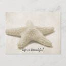 Search for life is beautiful cards Ocean