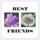 Search for flower picture stickers Cute