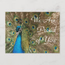 Search for blue peacock bird postcards Photography