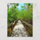 Search for ding postcards Sanibel island