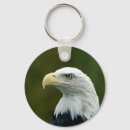 Search for eagle photo key rings Bald