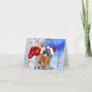 Search for baby koala cards Adorable