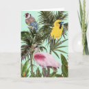 Search for bird paradise cards Birds