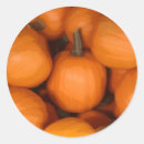 Search for farm in autumn stickers Orange