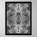 Search for black and white flowers posters Abstract
