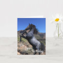 Search for rearing Pony