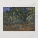 Search for shady postcards Tree