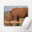 Search for mud mouse mats Water