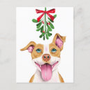 Search for pit bull christmas cards Cute