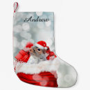 Search for squirrel christmas stockings Dog