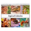 Search for squirrel calendars Forest